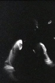 Blonde Redhead Meets Gainsbourg – Spring & by Summer Fall