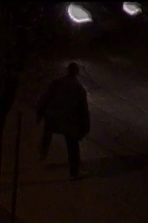 Una fredda giornata