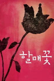 할매꽃