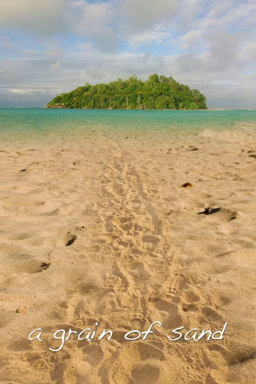 A Grain of Sand