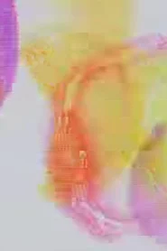 Rainbow Party