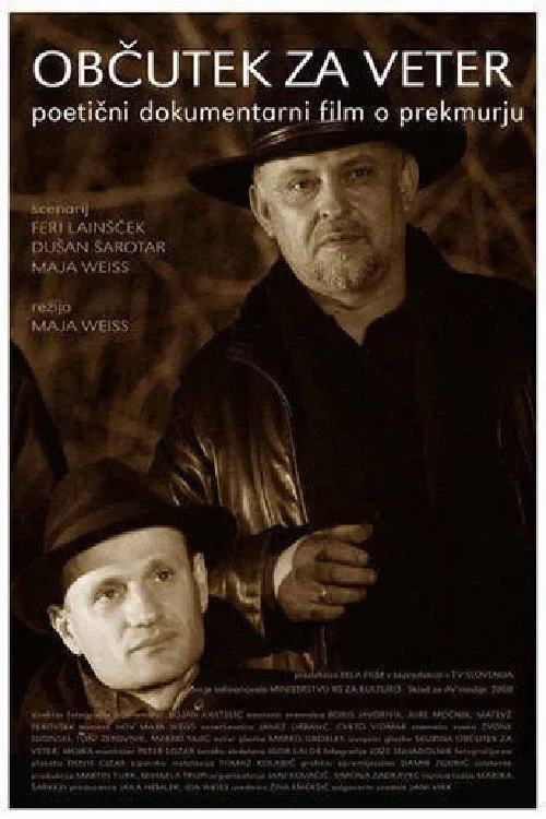 Občutek za veter