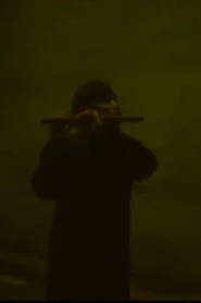 蛍光灯の数