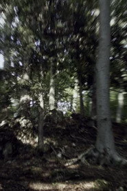 VERTIGO RUSH