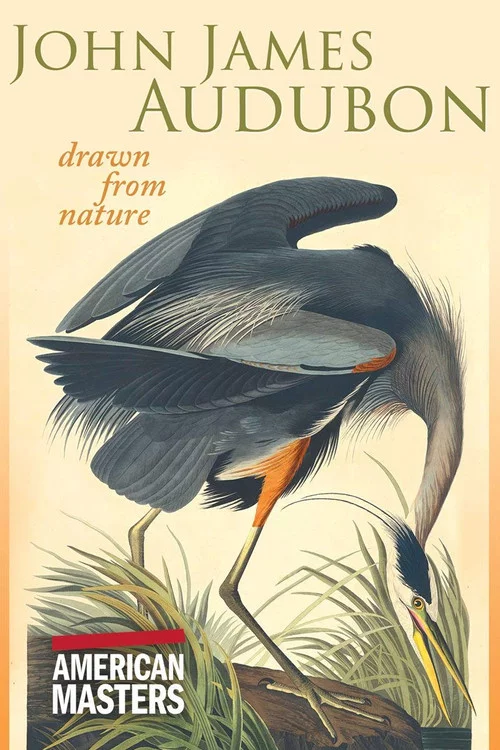John James Audubon: Drawn from Nature