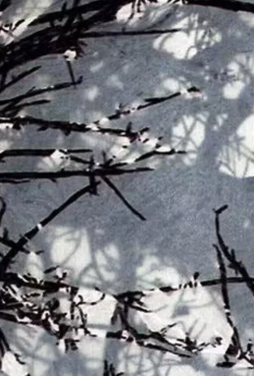 Variations sur Marilou