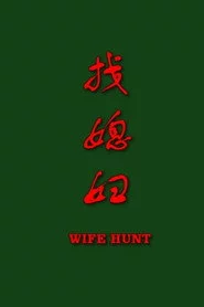 找媳妇