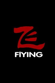 飞