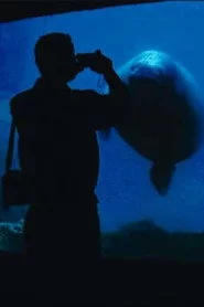 The Aquarium