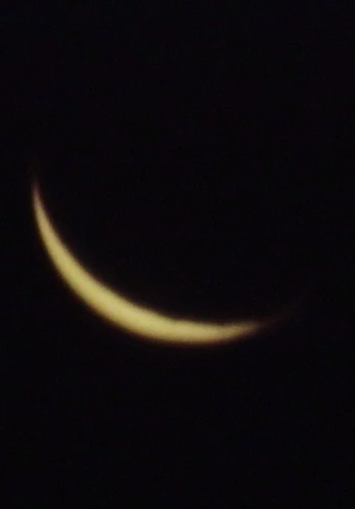 The Moon