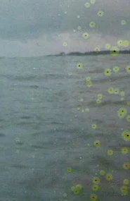 Film for Invisible Ink case no. 71: BASE-PLUS-FOG