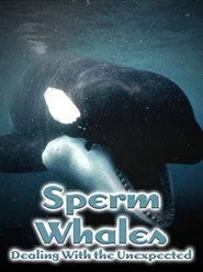 Sperm Whales: Dealing with the Unexpected