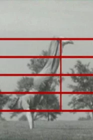 Screen Play
