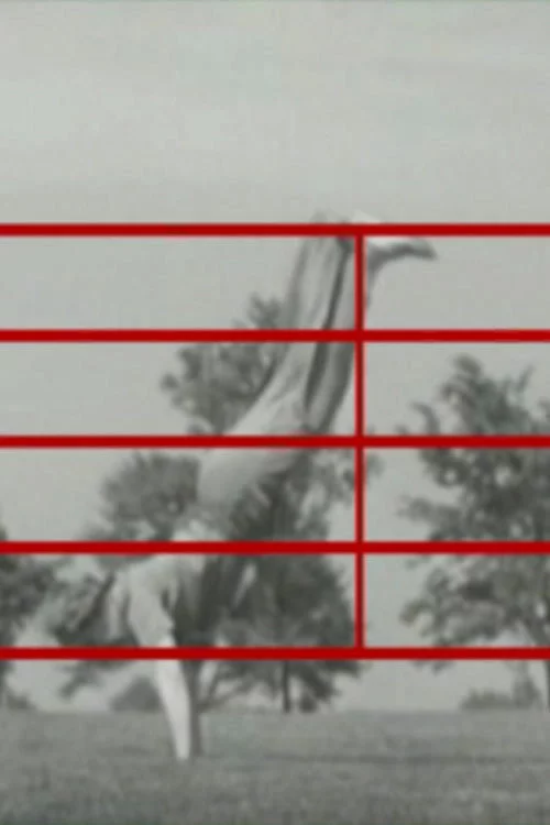 Screen Play