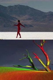 bodies of the desert