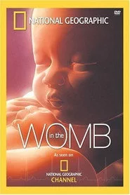 Life Before Birth
