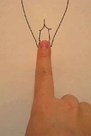 しりプレイ