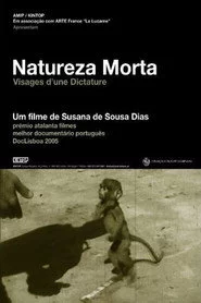 Natureza Morta