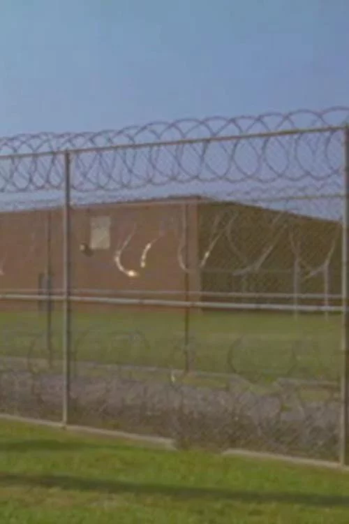 IN LOVING MEMORY: Testimonials of Death Row Inmates regarding Life
