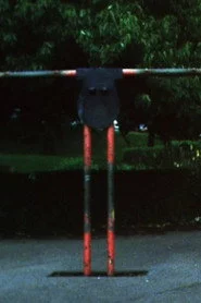 Park Ambassador
