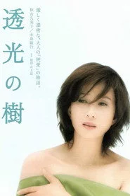 透光の樹