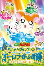 劇場版 とっとこハム太郎 ハムハムグランプリン オーロラ谷の奇跡 ~リボンちゃん危機一髪!~