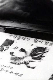 나무들이 봤어