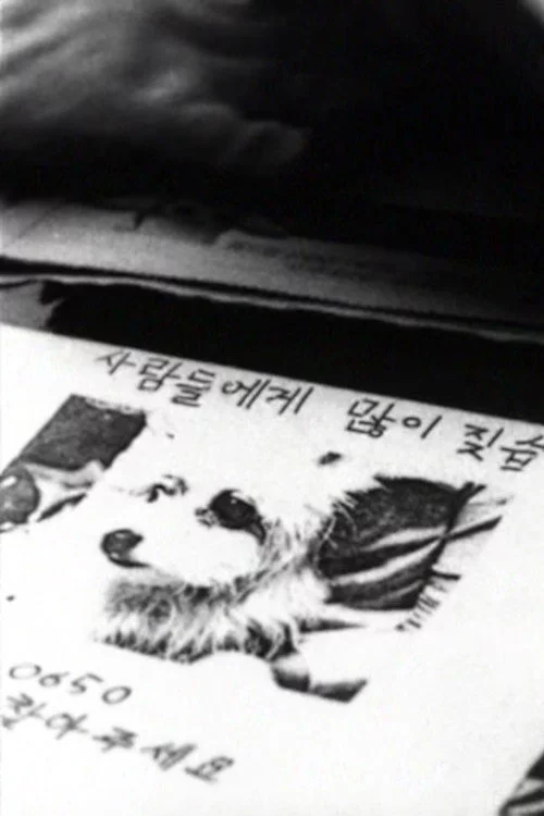나무들이 봤어