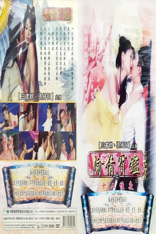 偷情宝鉴之欲海无涯