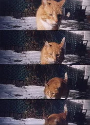 Nobody Knows