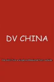 DV中国