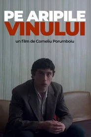 Pe aripile vinului