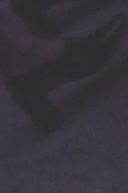 視界の切片
