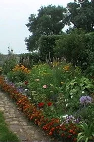 Allons-Y Alonzo: Souvenirs of a Landscape