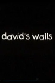 David's Walls