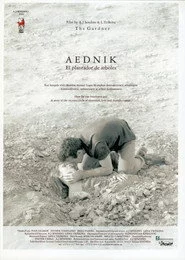 Aednik