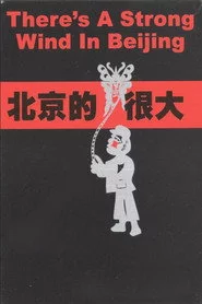 北京的风很大