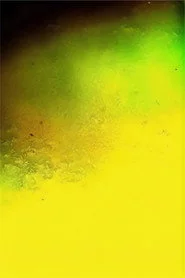 Translation Series