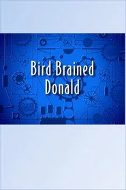 Bird Brained Donald