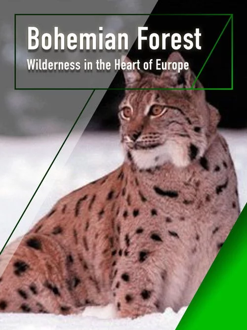Böhmerwald - Wildnis im Herzen Europas