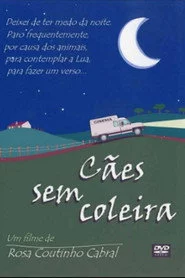 Cães Sem Coleira