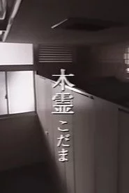 木霊