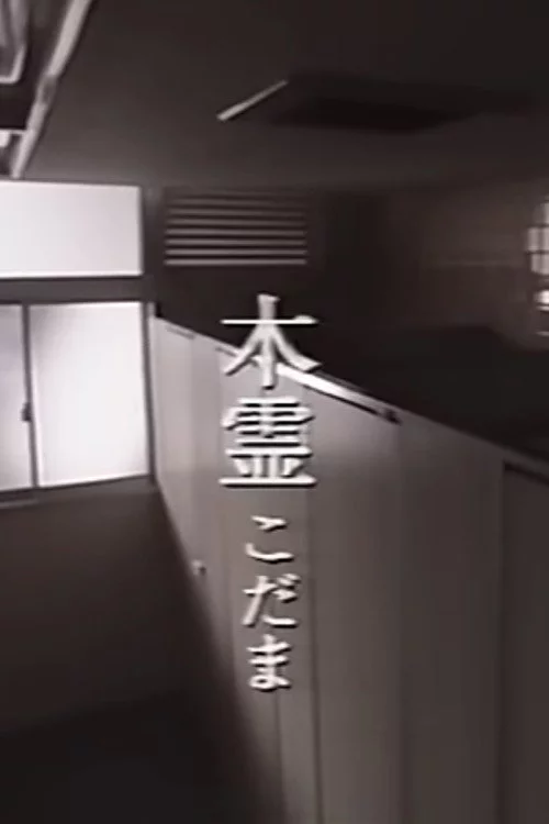 木霊