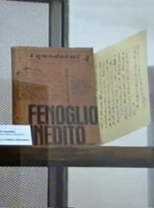 Una questione privata. Vita di Beppe Fenoglio