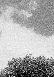 Tree & Cloud