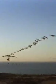 The Ultra Geese