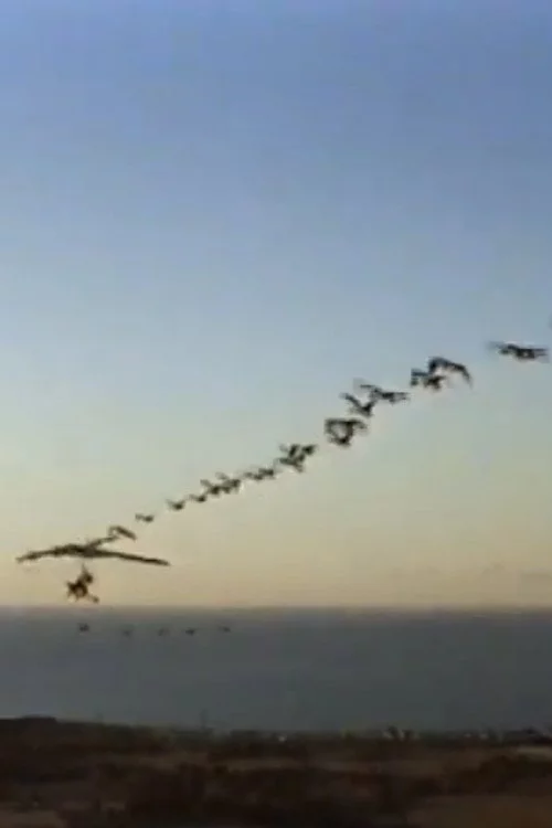 The Ultra Geese