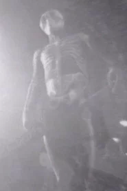 La danza de la muerte