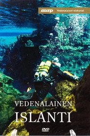Underwater Iceland