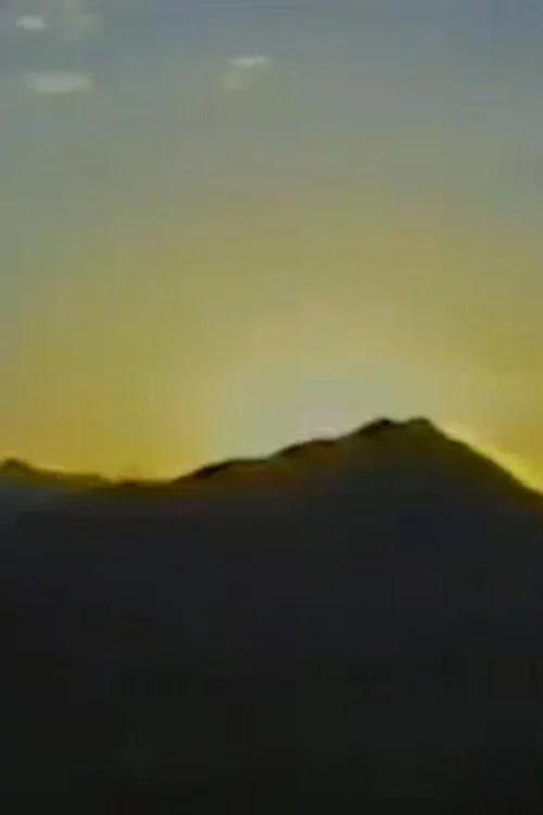 تولد نور